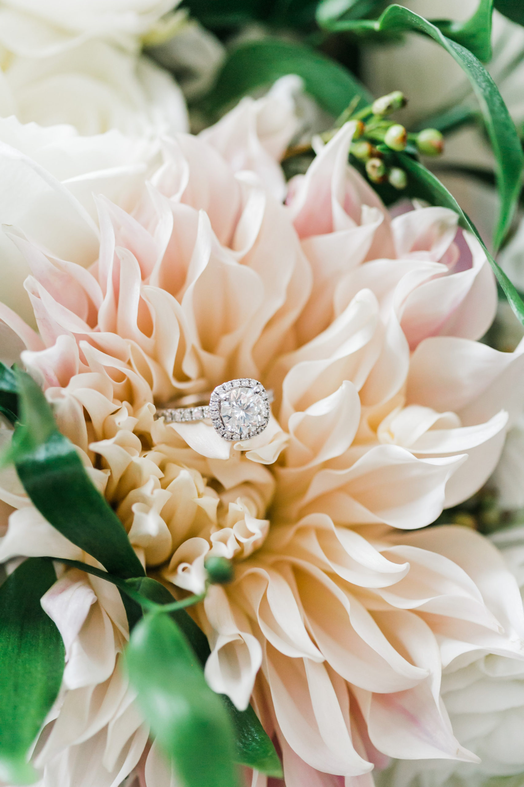 ring on king protea lb floral knoxville