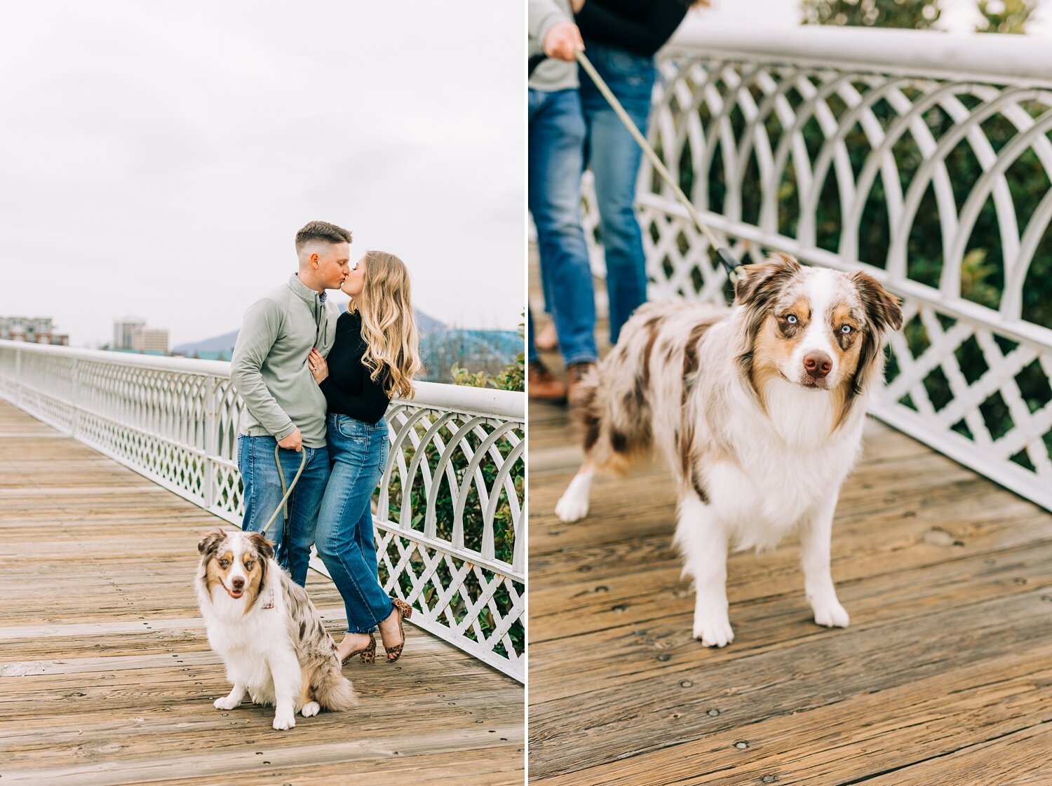 downtown Chattanooga engagement photos with dog