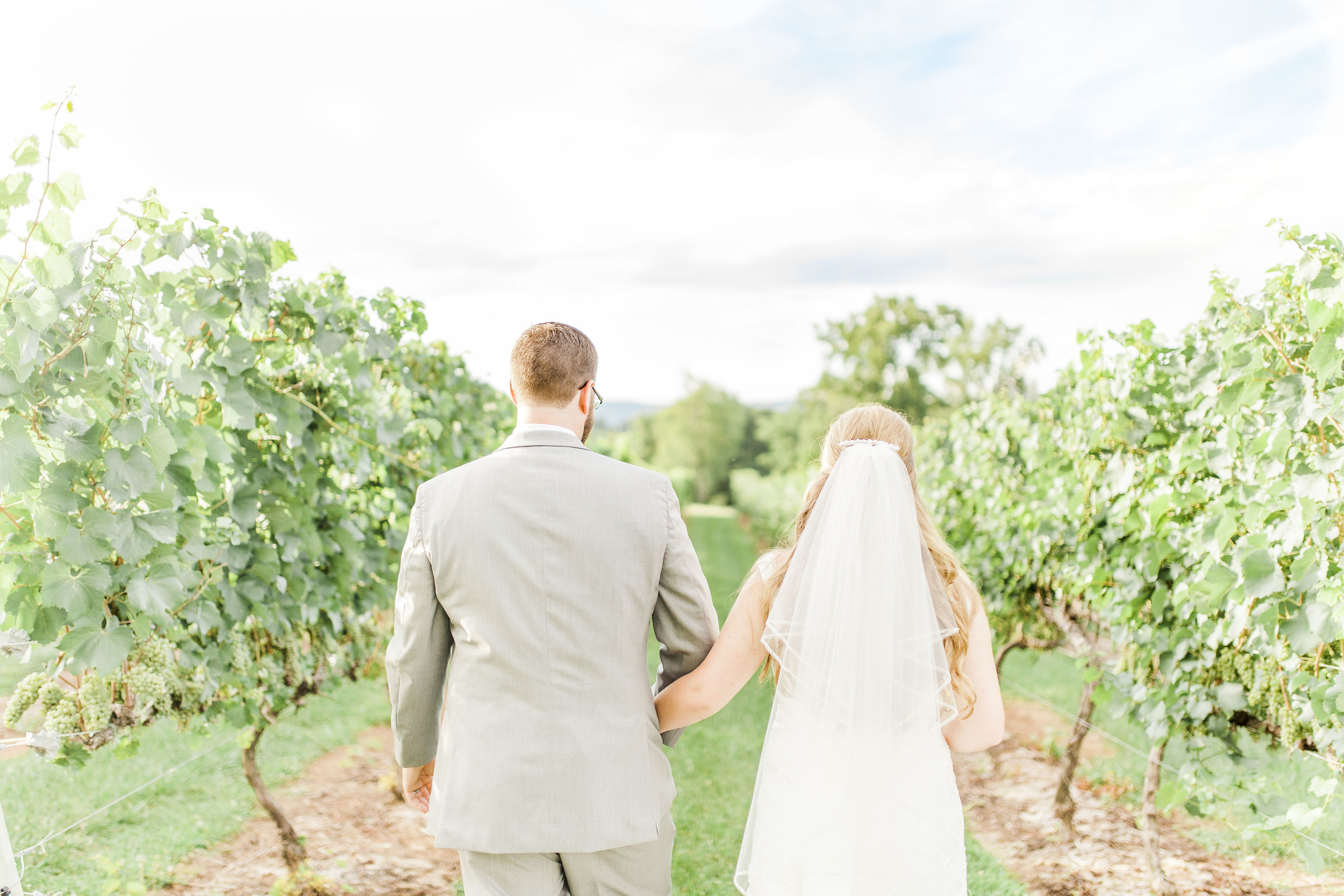 Vineyard Wedding Tennessee